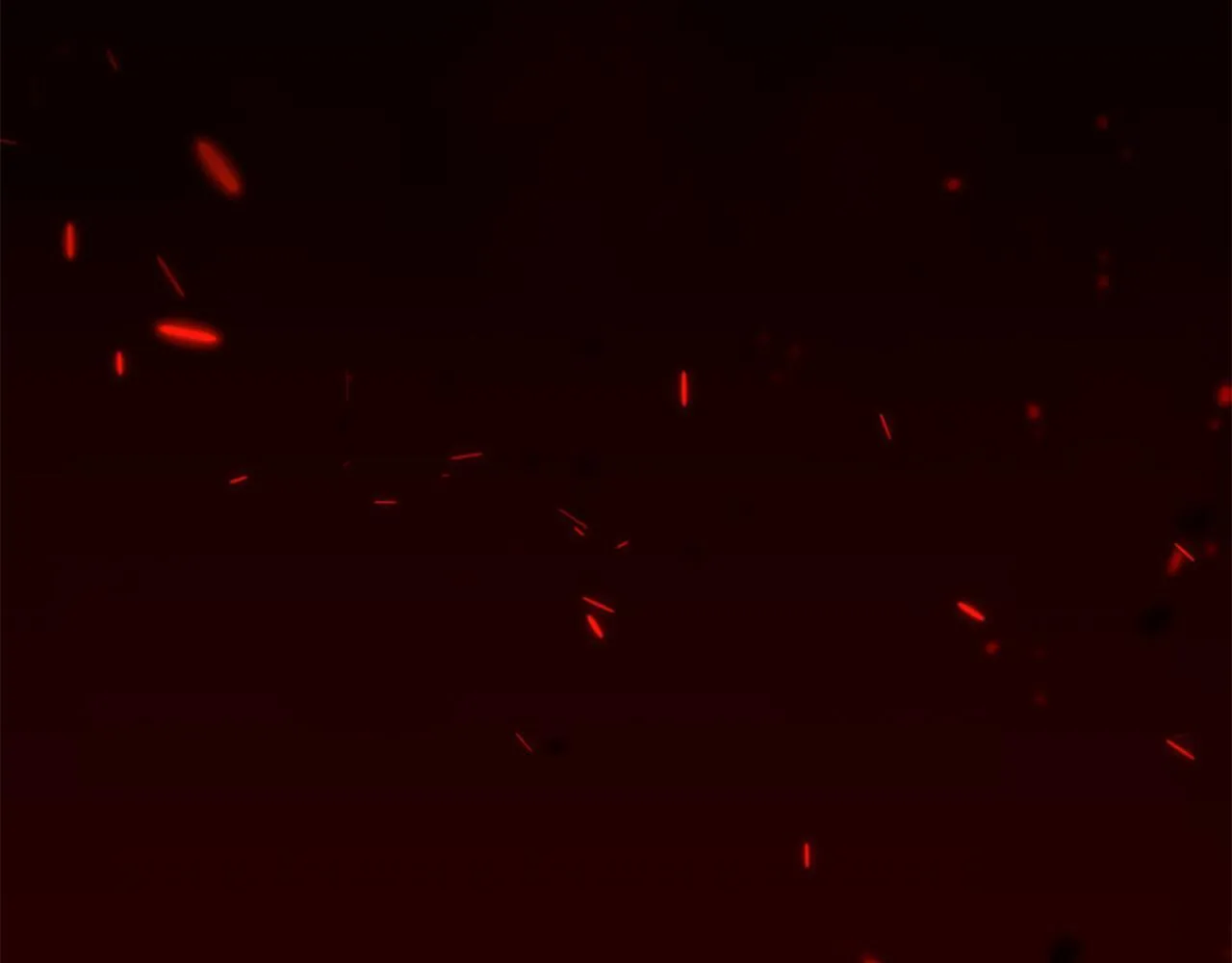 第20话 暴风雨前夜 第163页