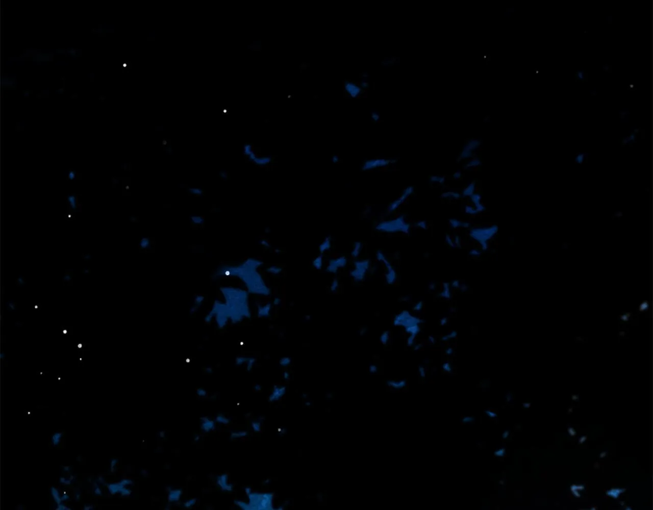 第21话 恐怖的怪物 第3页