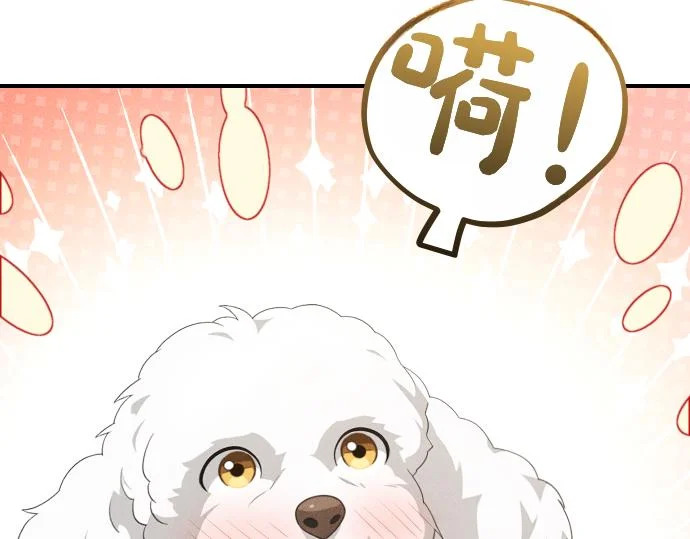 第81话 幕后黑手 第202页