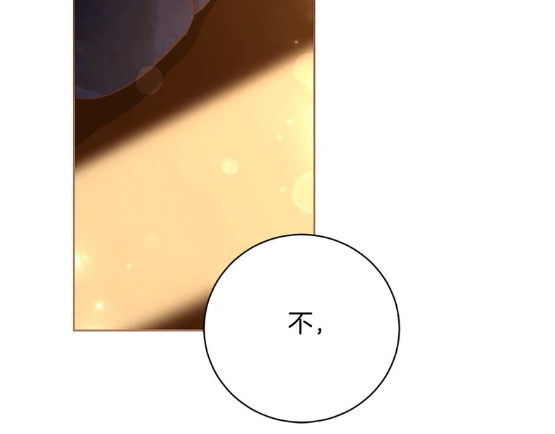 第65话 路易斯皇子的眼泪 第120页