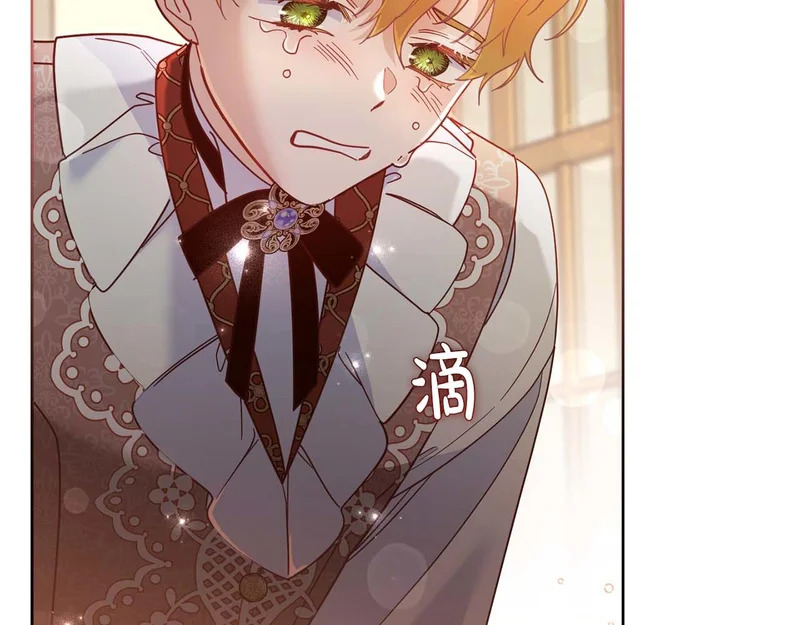 第65话 路易斯皇子的眼泪 第185页