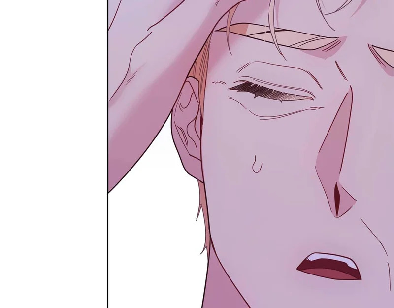 第65话 路易斯皇子的眼泪 第223页