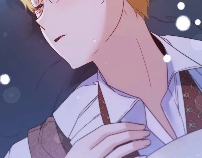 第65话 路易斯皇子的眼泪 第241页
