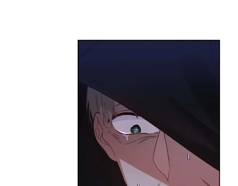 第80话 愿望和礼物 第196页