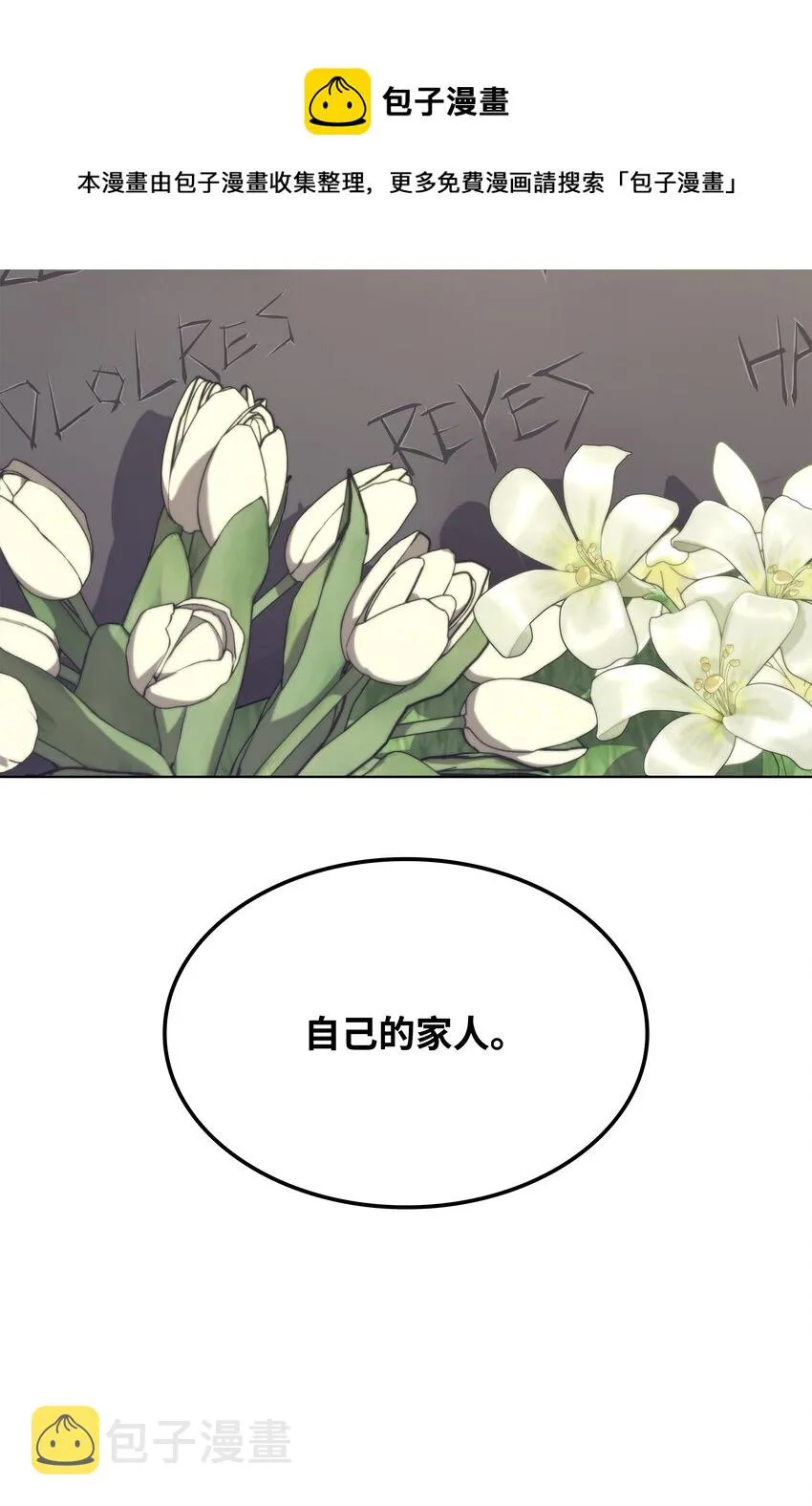 114 门外的礼炮 第17页