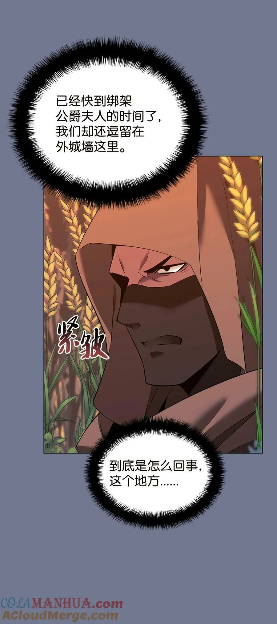 177 完美的隐藏卡片 第5页