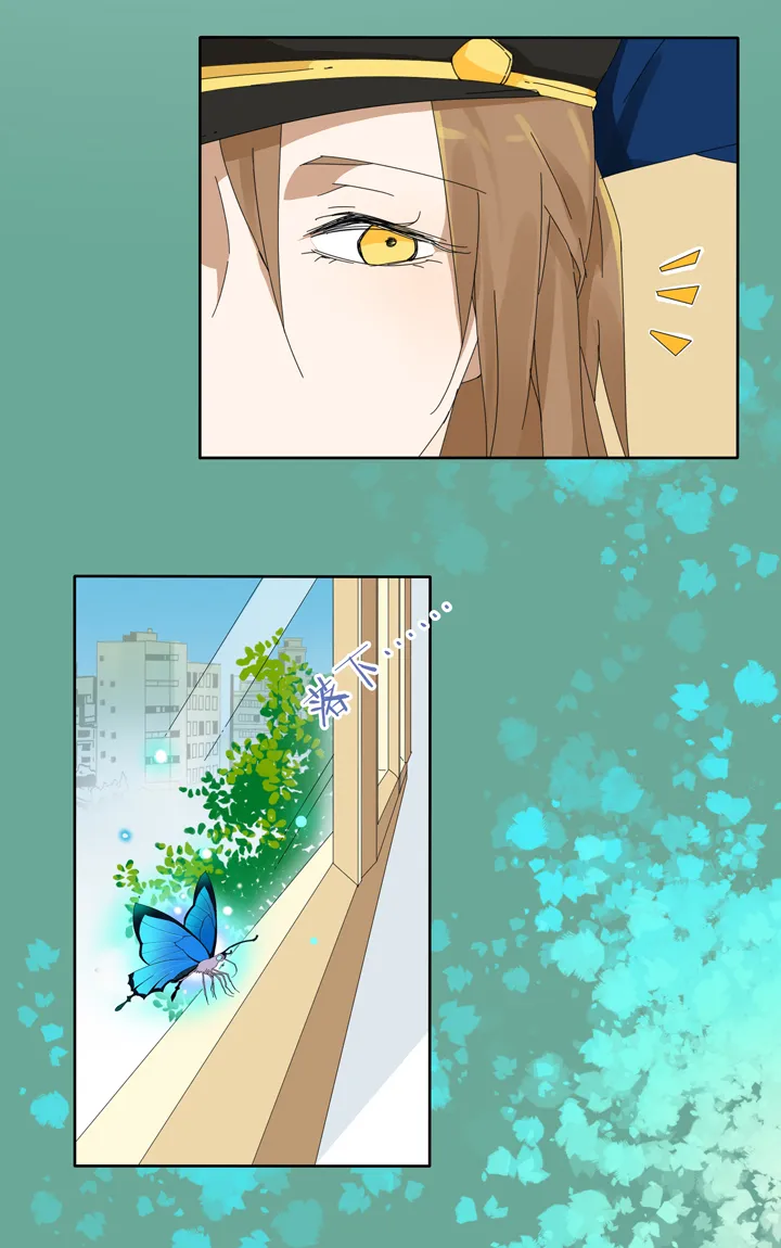 09 蝴蝶③ 第15页
