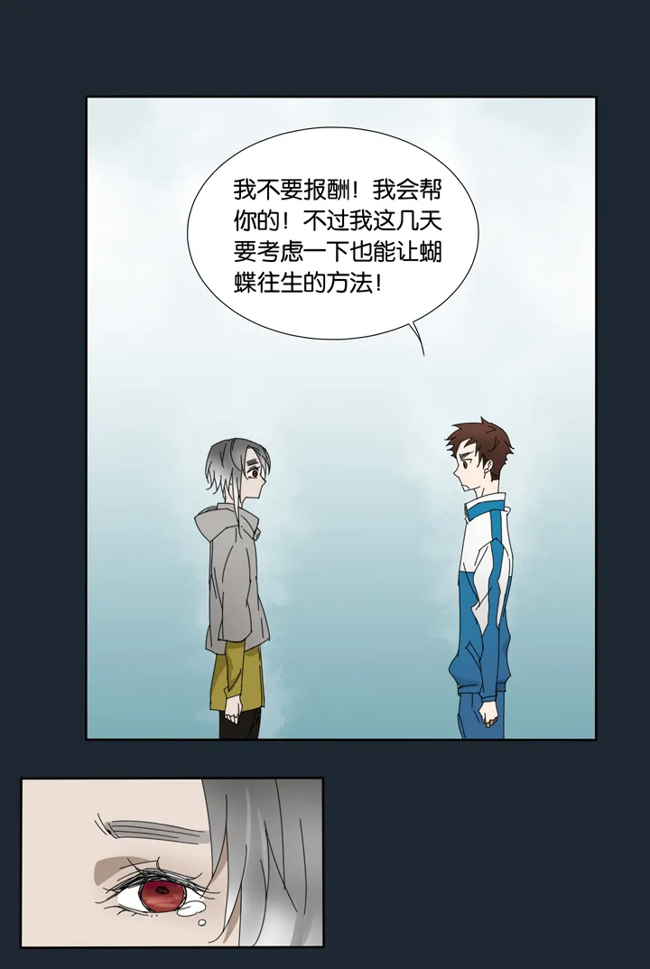 15 蝴蝶⑨ 第12页