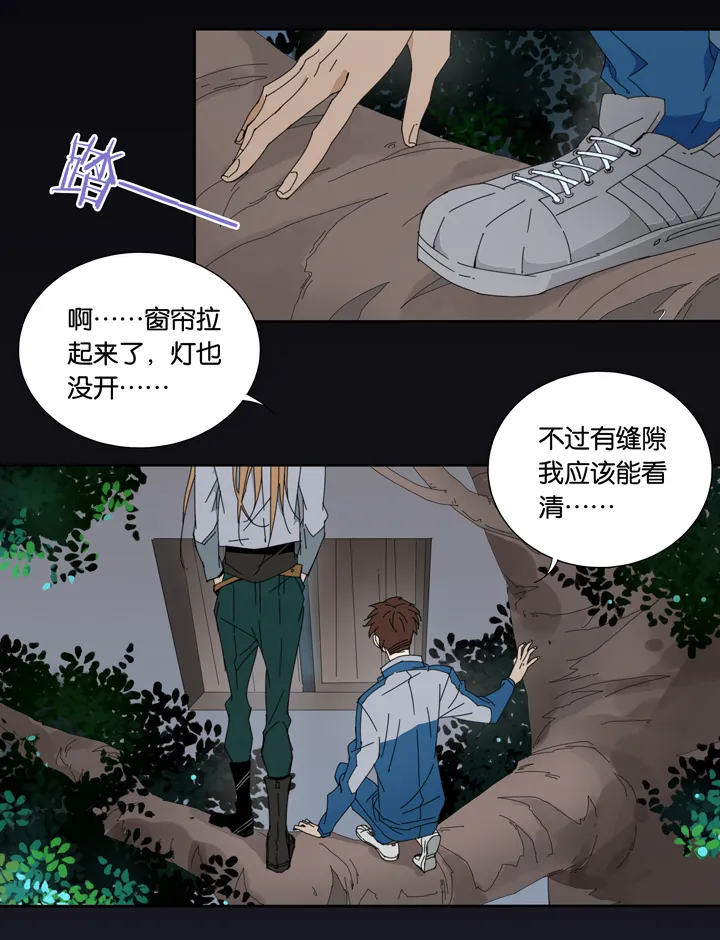 16 蝴蝶⑩ 第14页