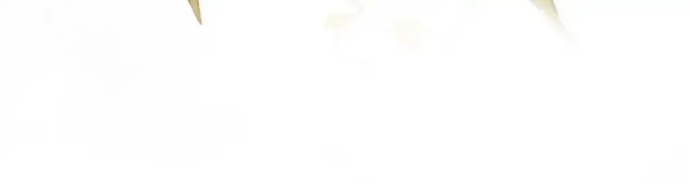 01 初见 第143页