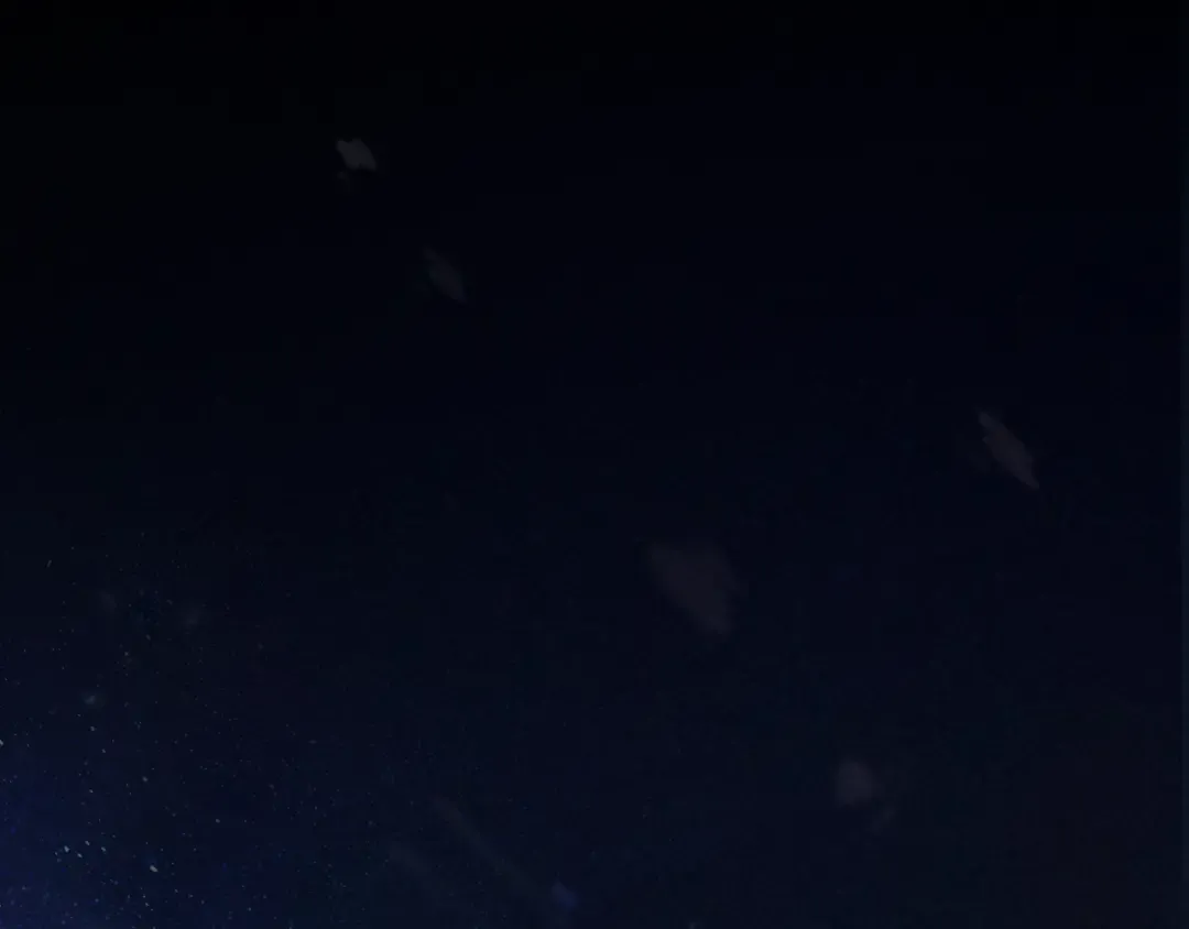 02 直率 第116页