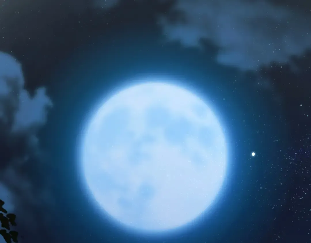 第13话 环环相扣 第6页