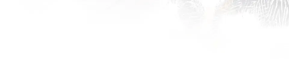 016 名字 第146页