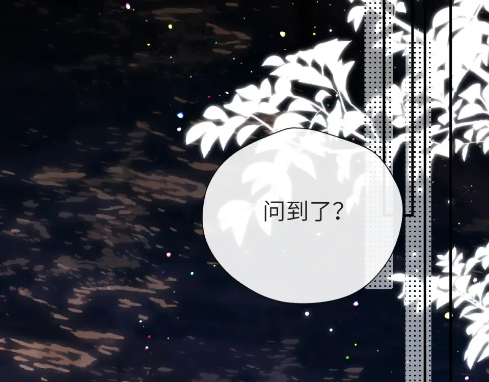 017 试探 第6页