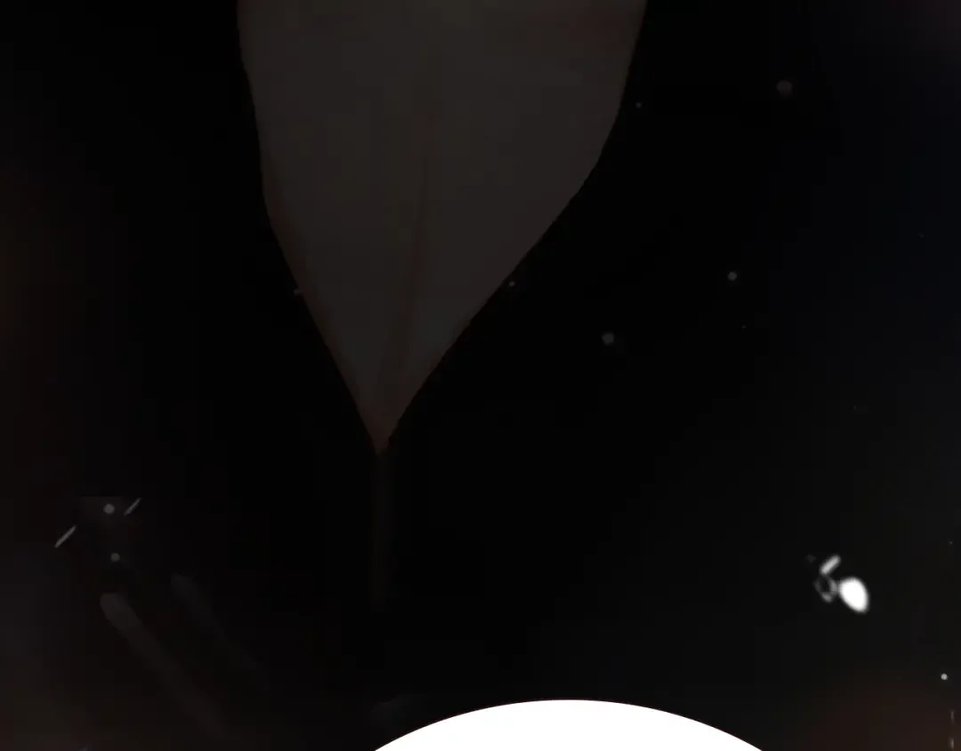 026 约定 第142页