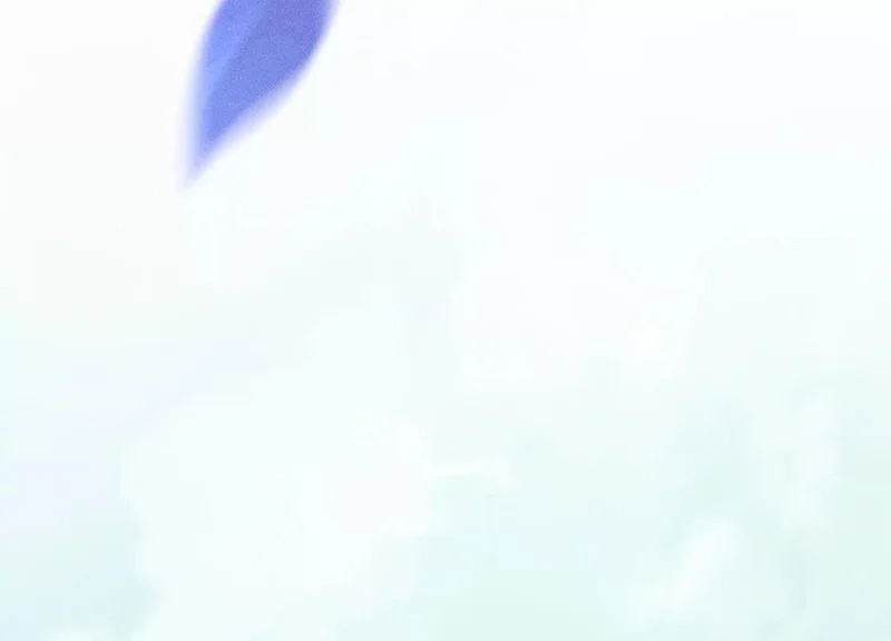 第19话：奥斯的礼物 第97页