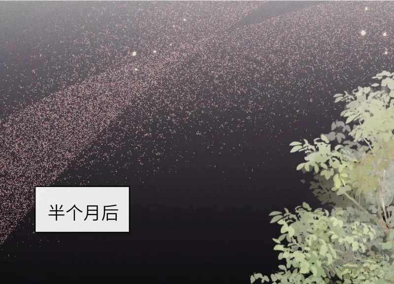 第14话：假发 第6页