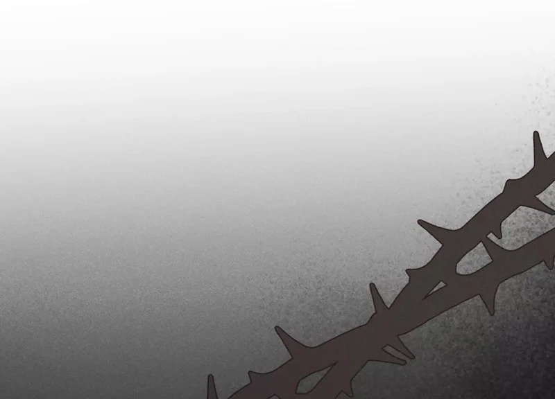 第15话：回归正轨 第29页