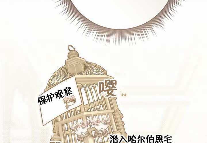 第28话 第17页