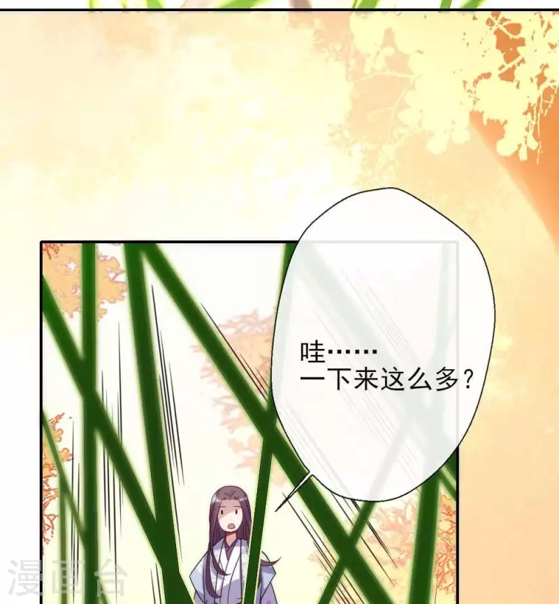 第24话 某人要大祸临头了 第13页