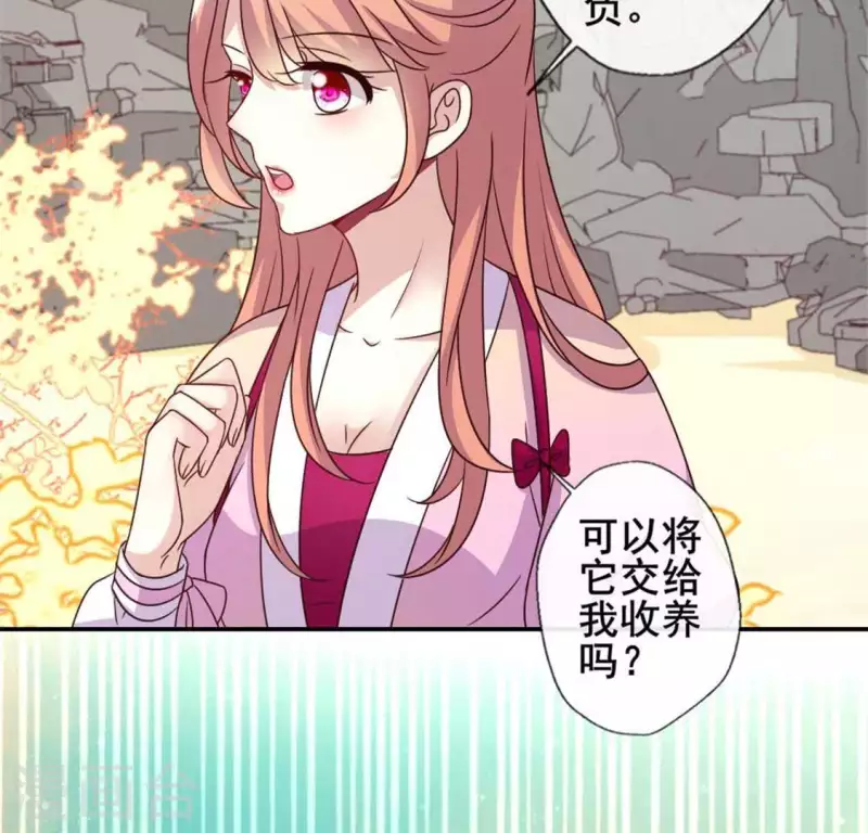 第38话 Get到一只萌宠 第9页