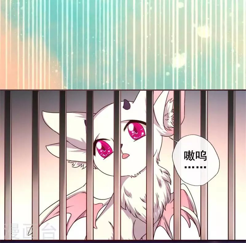 第38话 Get到一只萌宠 第10页
