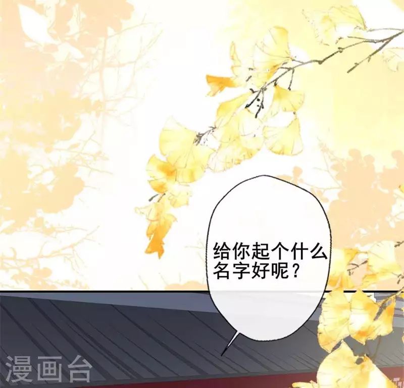 第38话 Get到一只萌宠 第20页