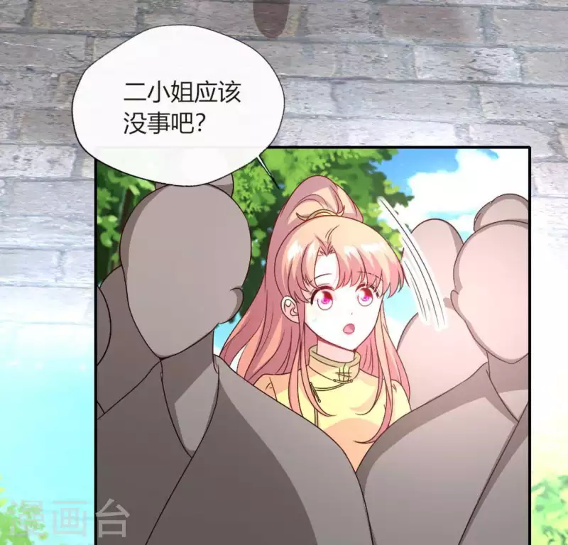 第102话 二小姐落水了 第41页