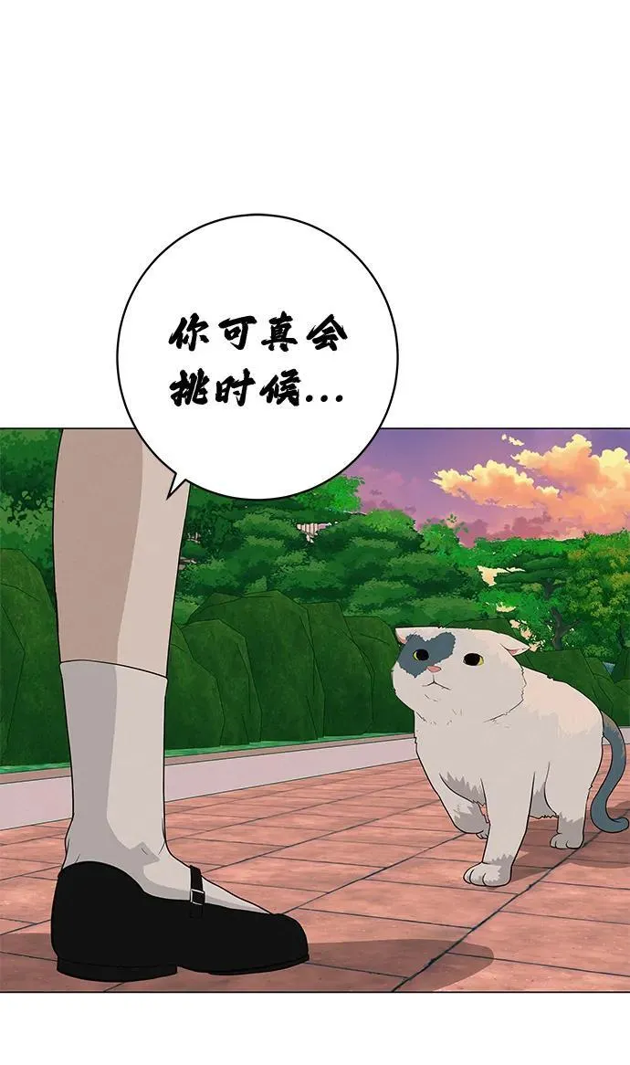 [第28话] 青少年大会表演 第88页