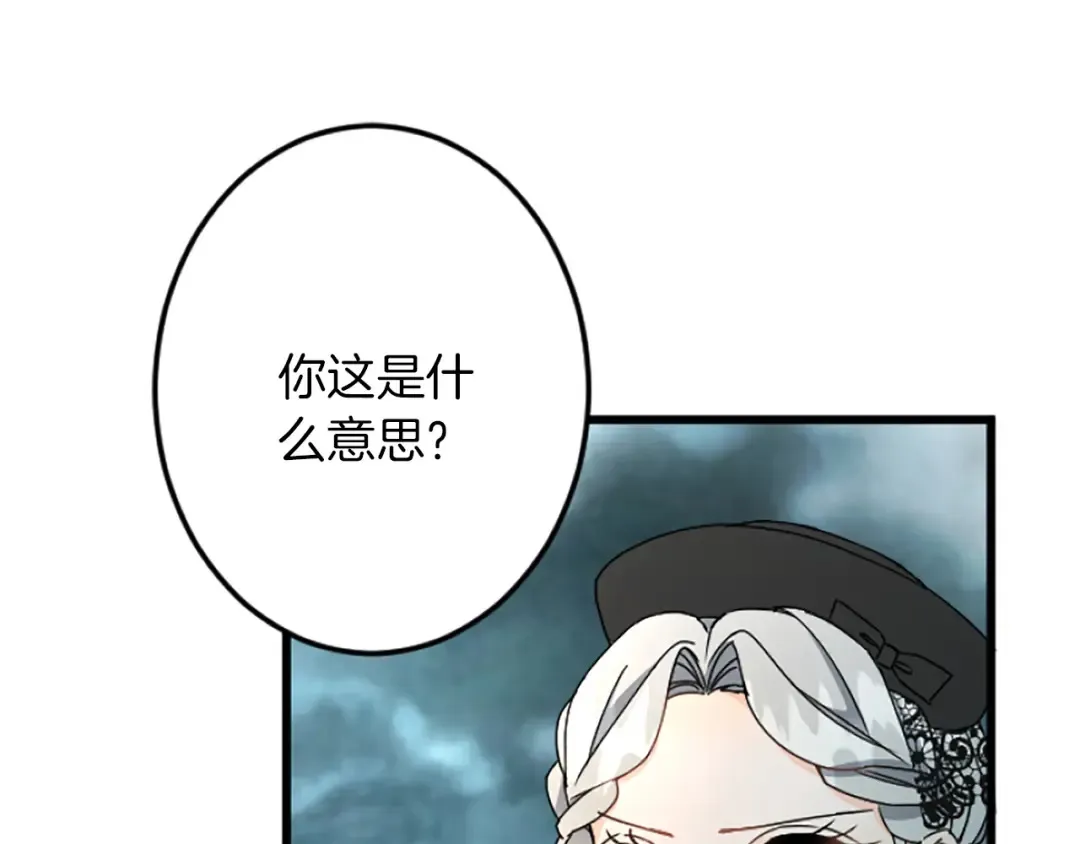第38话 前王妃的意志 第43页
