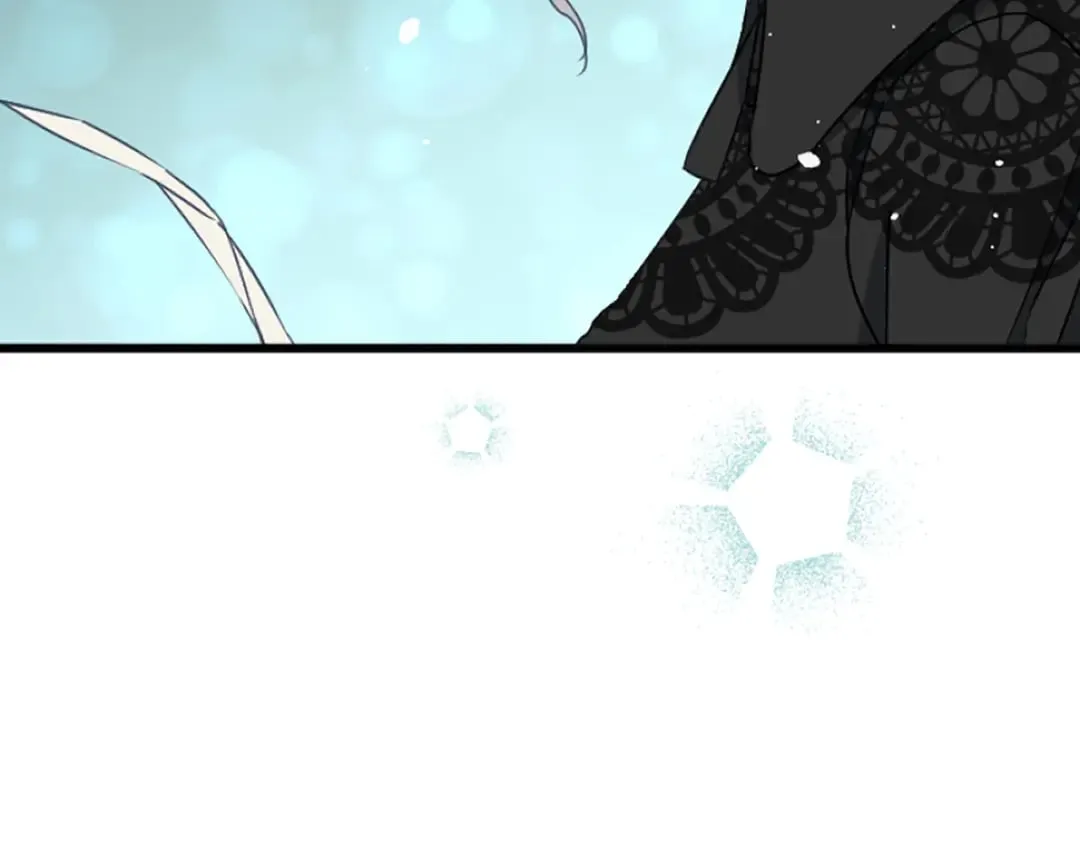 第38话 前王妃的意志 第117页
