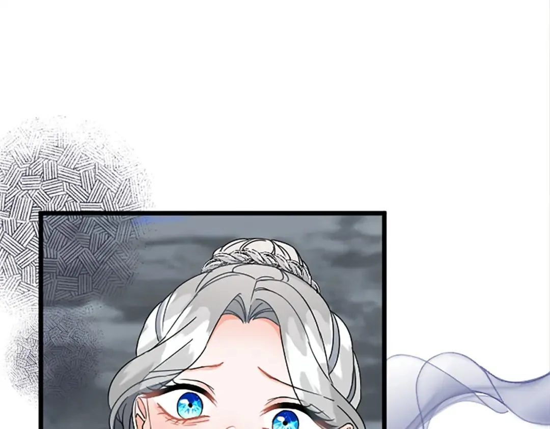 第51话 前王妃的启示 第16页