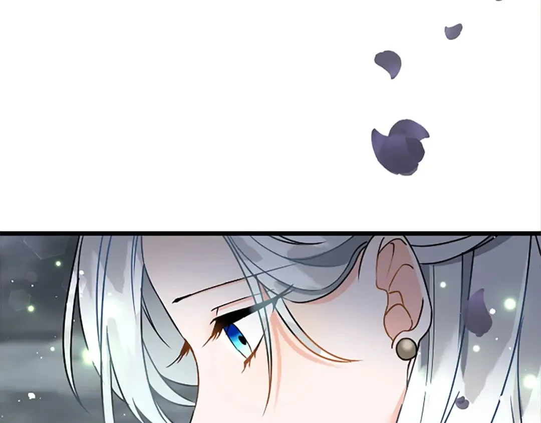 第51话 前王妃的启示 第30页