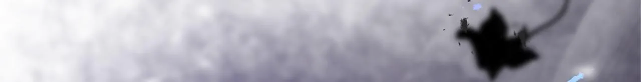 第103话 我们结婚吧 第166页
