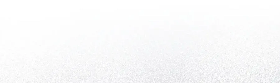 你对我很有用 第12页