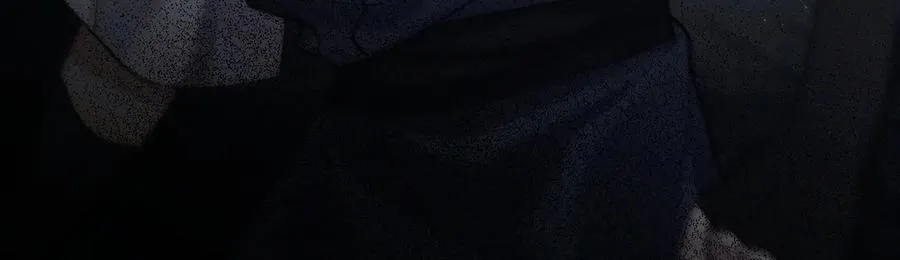 父亲，我来救你了 第30页