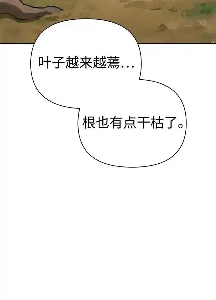 [第5话] 来自椰子部族的孩子 第33页