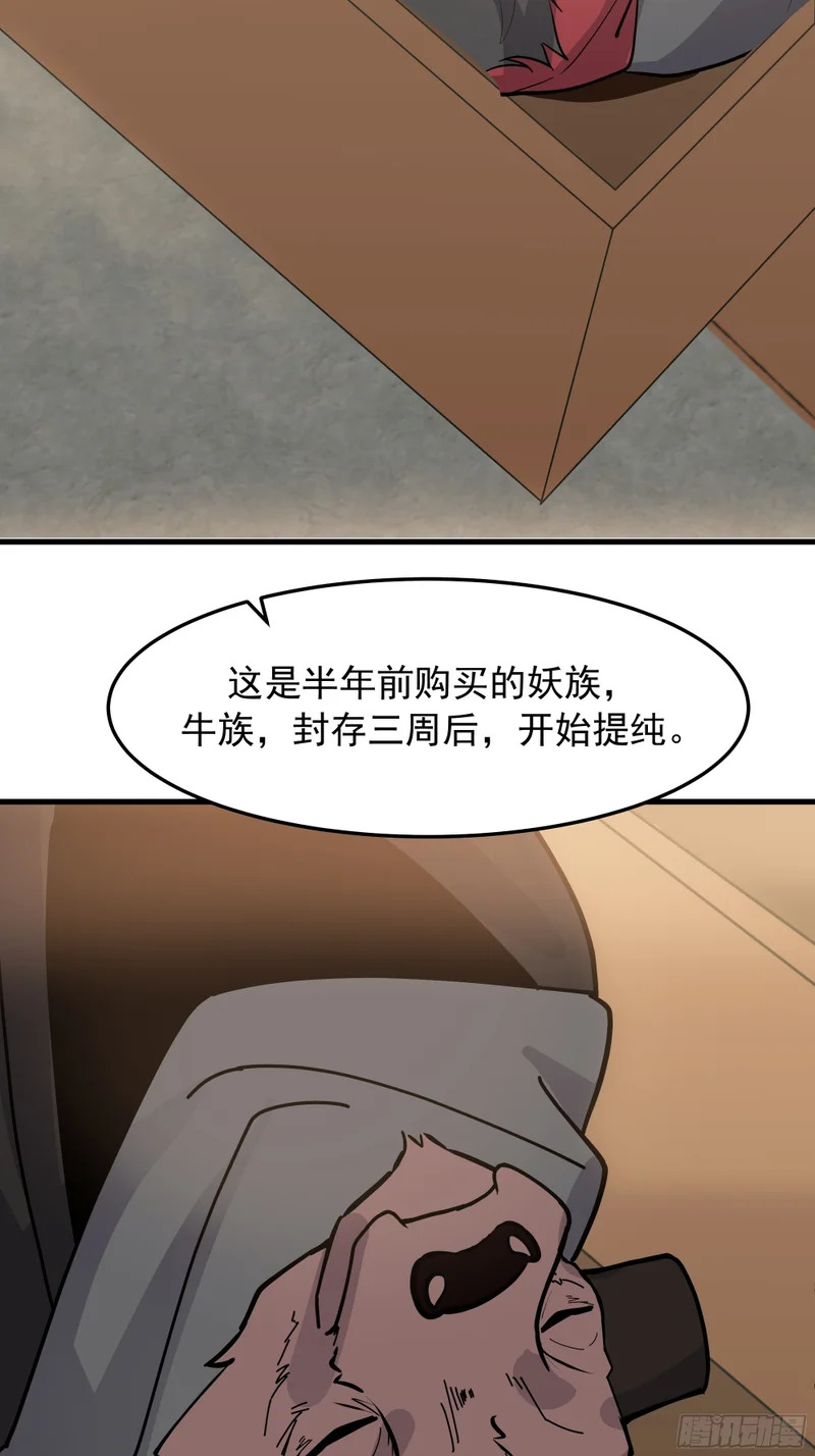 探路 第54页