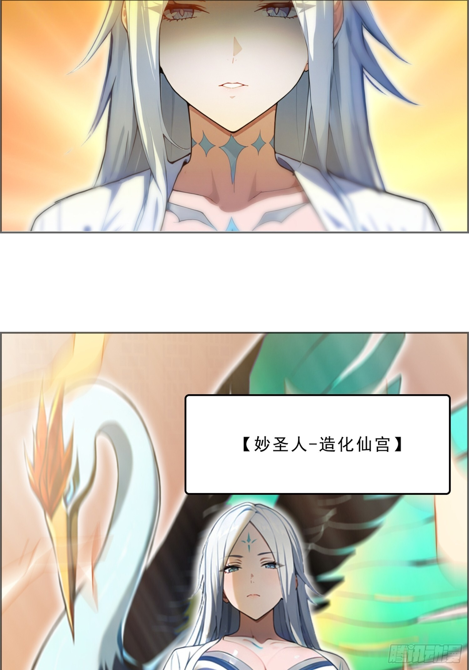 3 母族 第15页