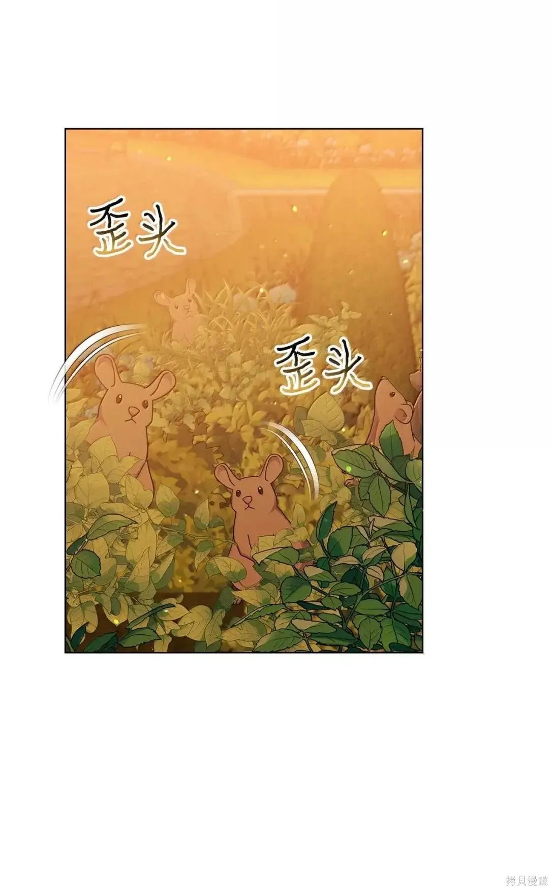 第62话 第66页