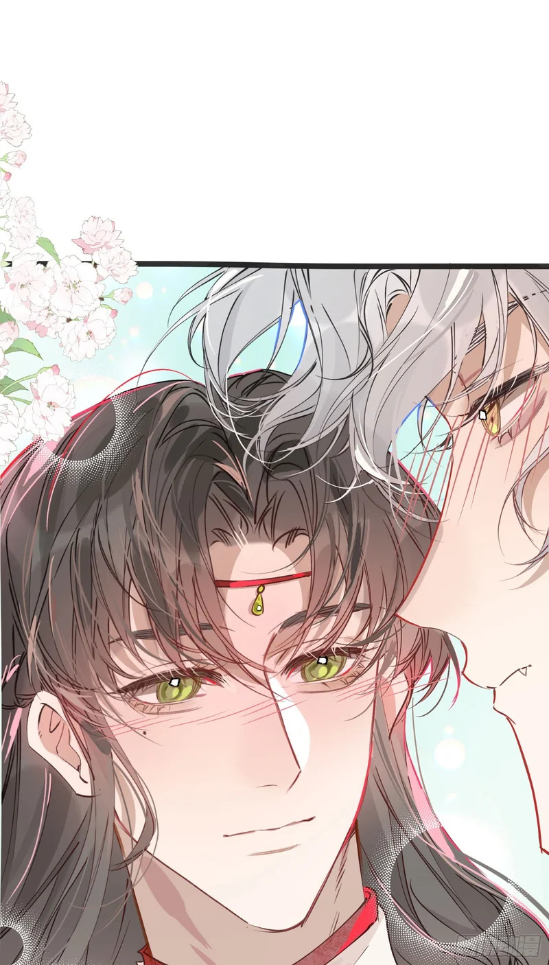 24 云澜仙君 第51页