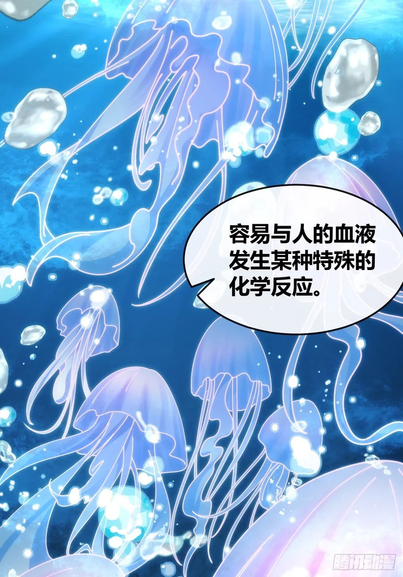状元 第15页