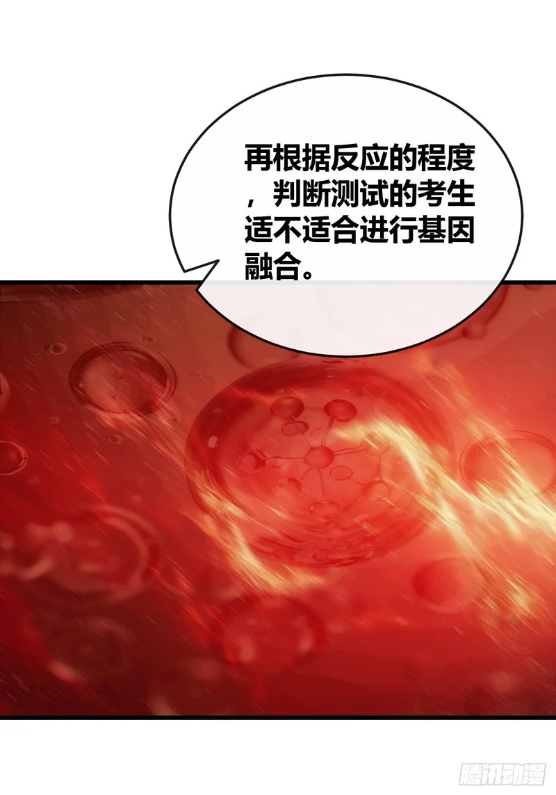 状元 第19页
