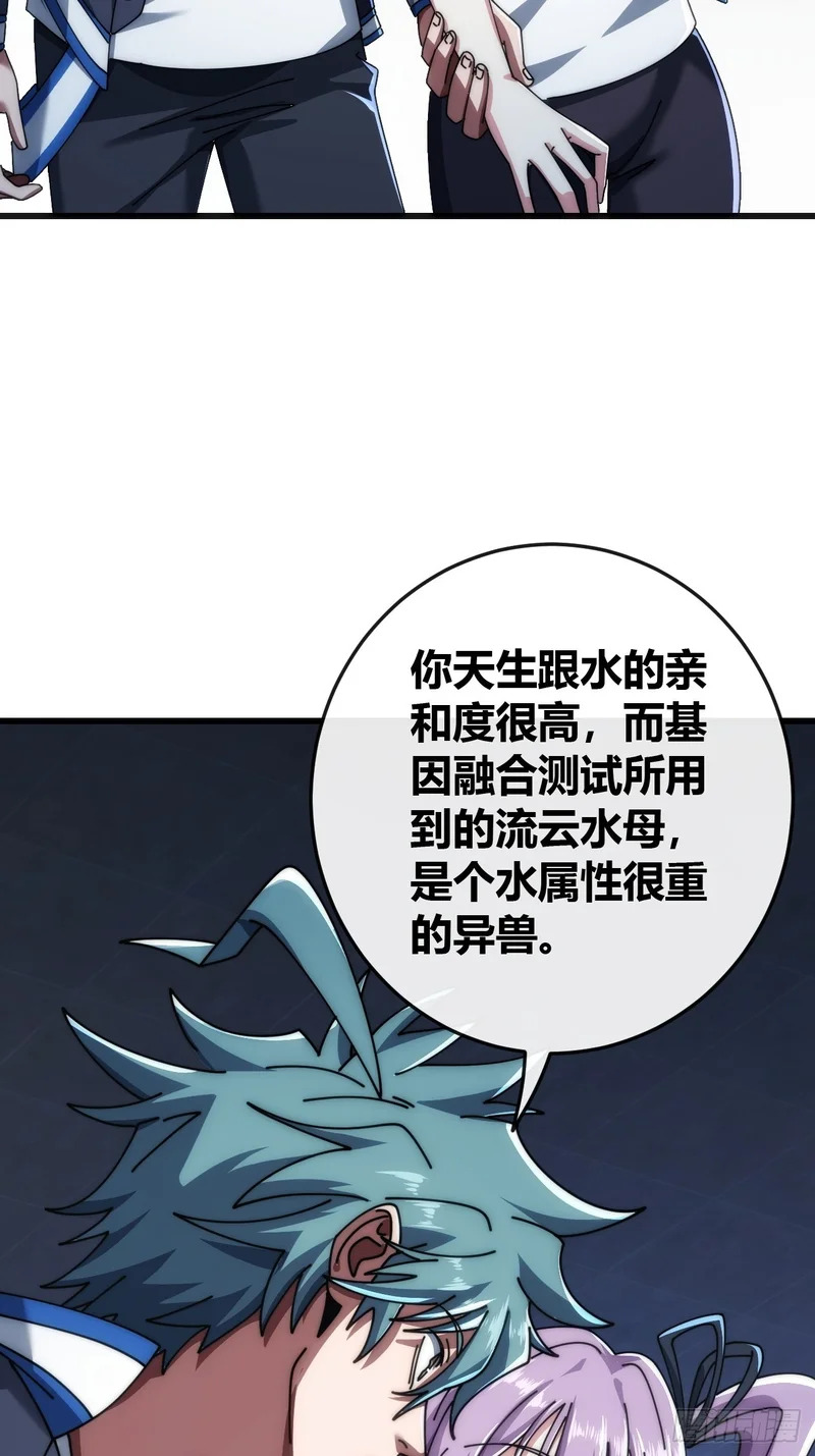 状元 第66页