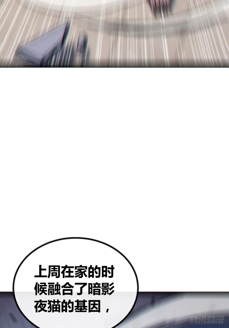 不会平手 第45页