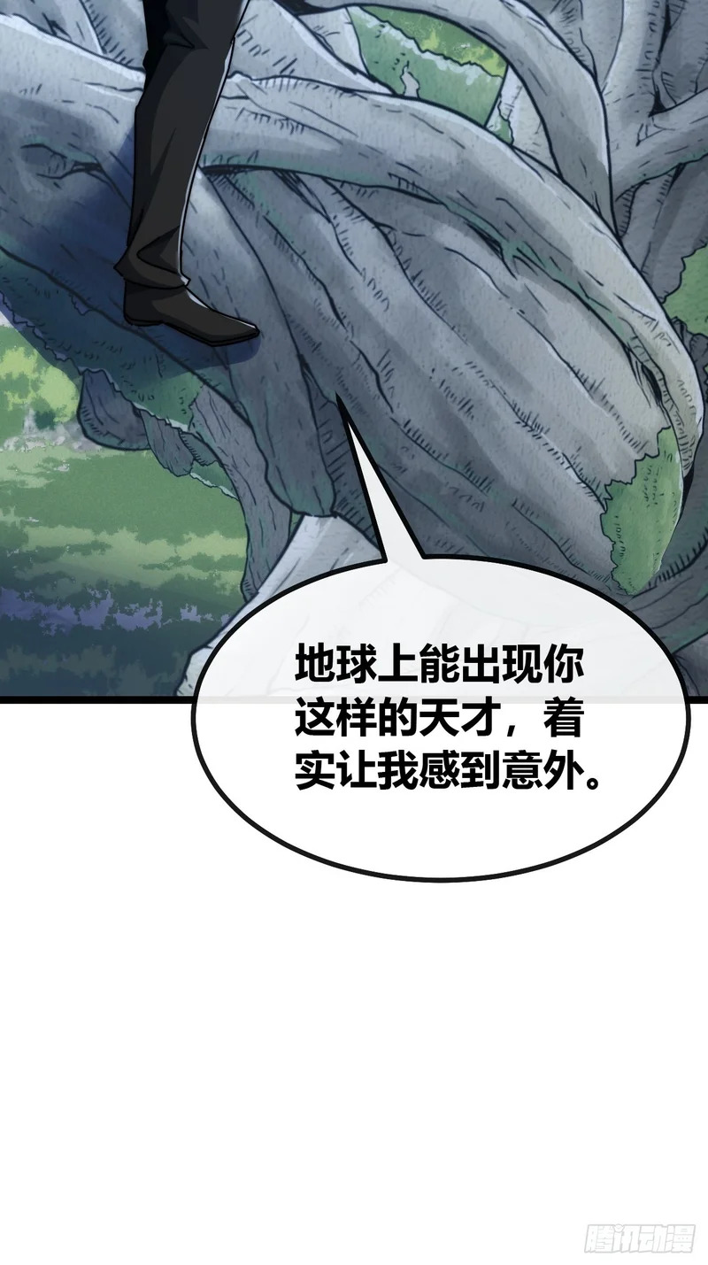 森林之主 第4页
