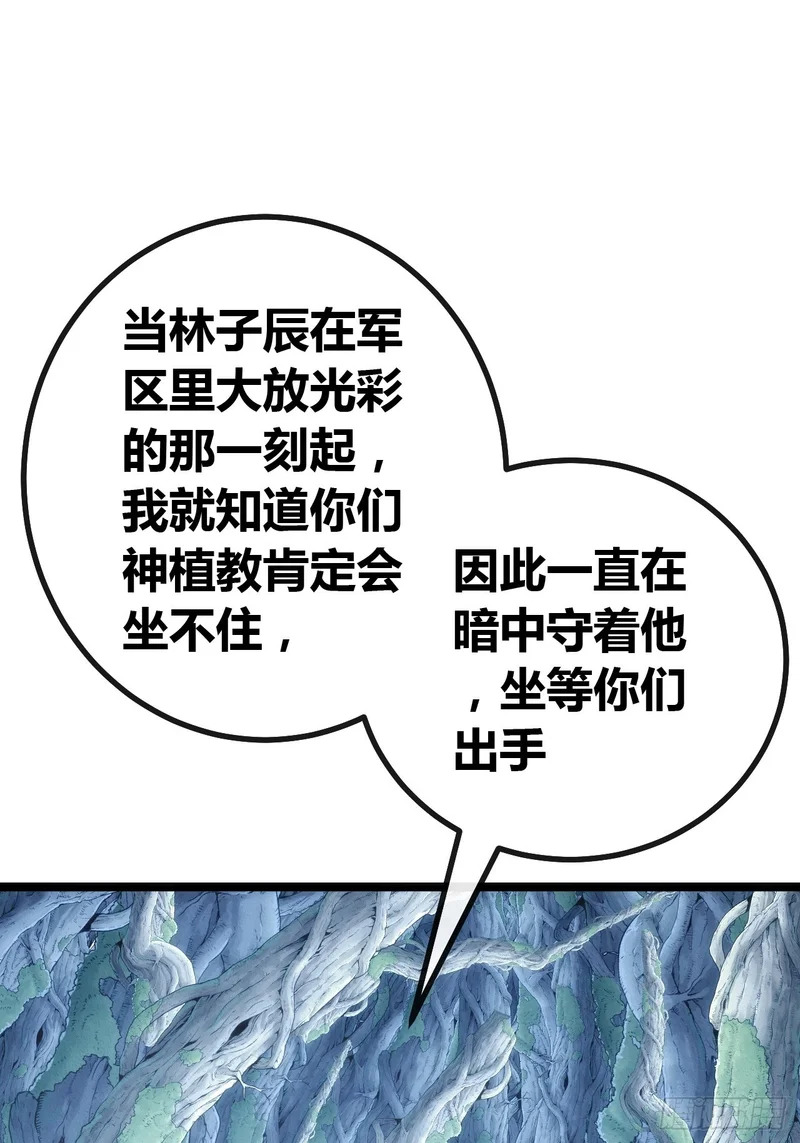森林之主 第9页