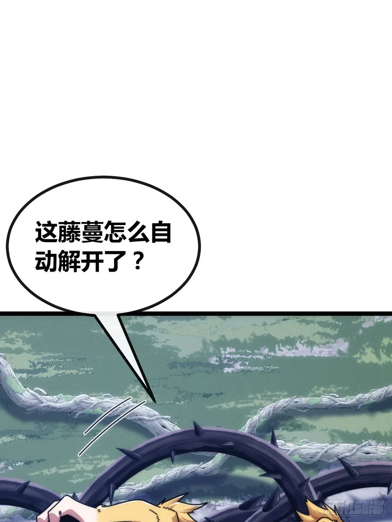森林之主 第27页