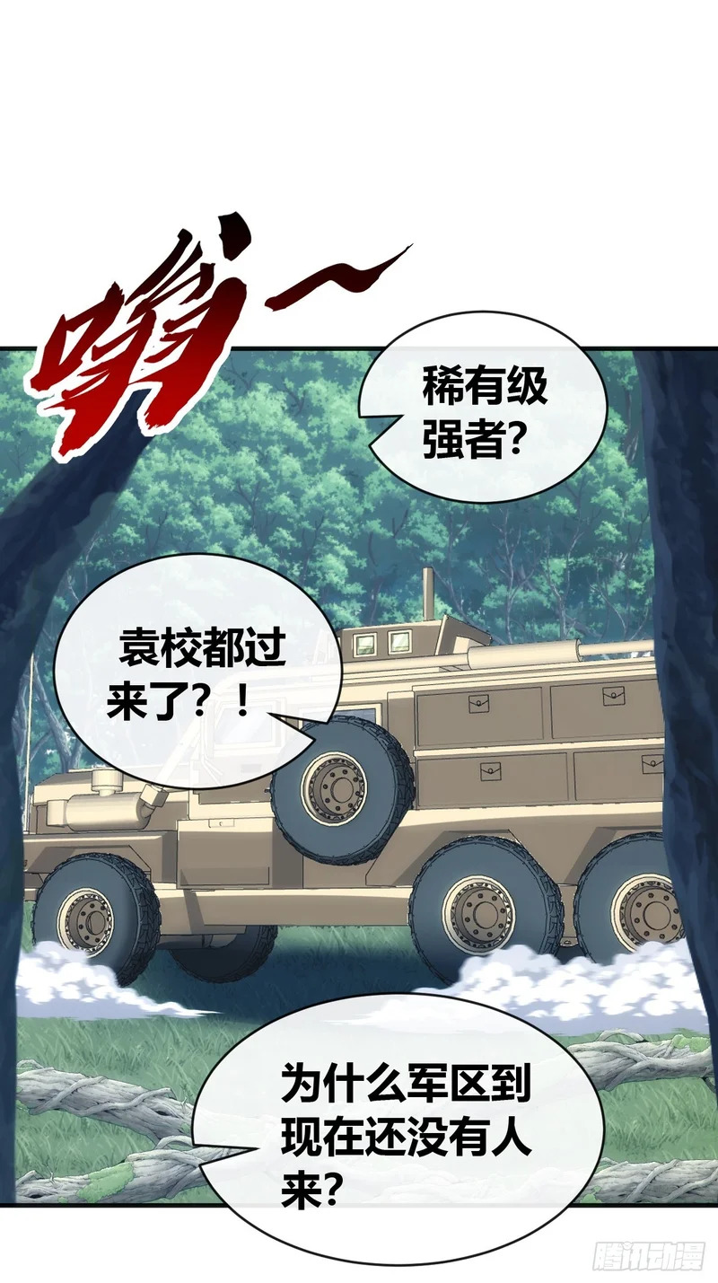 森林之主 第44页