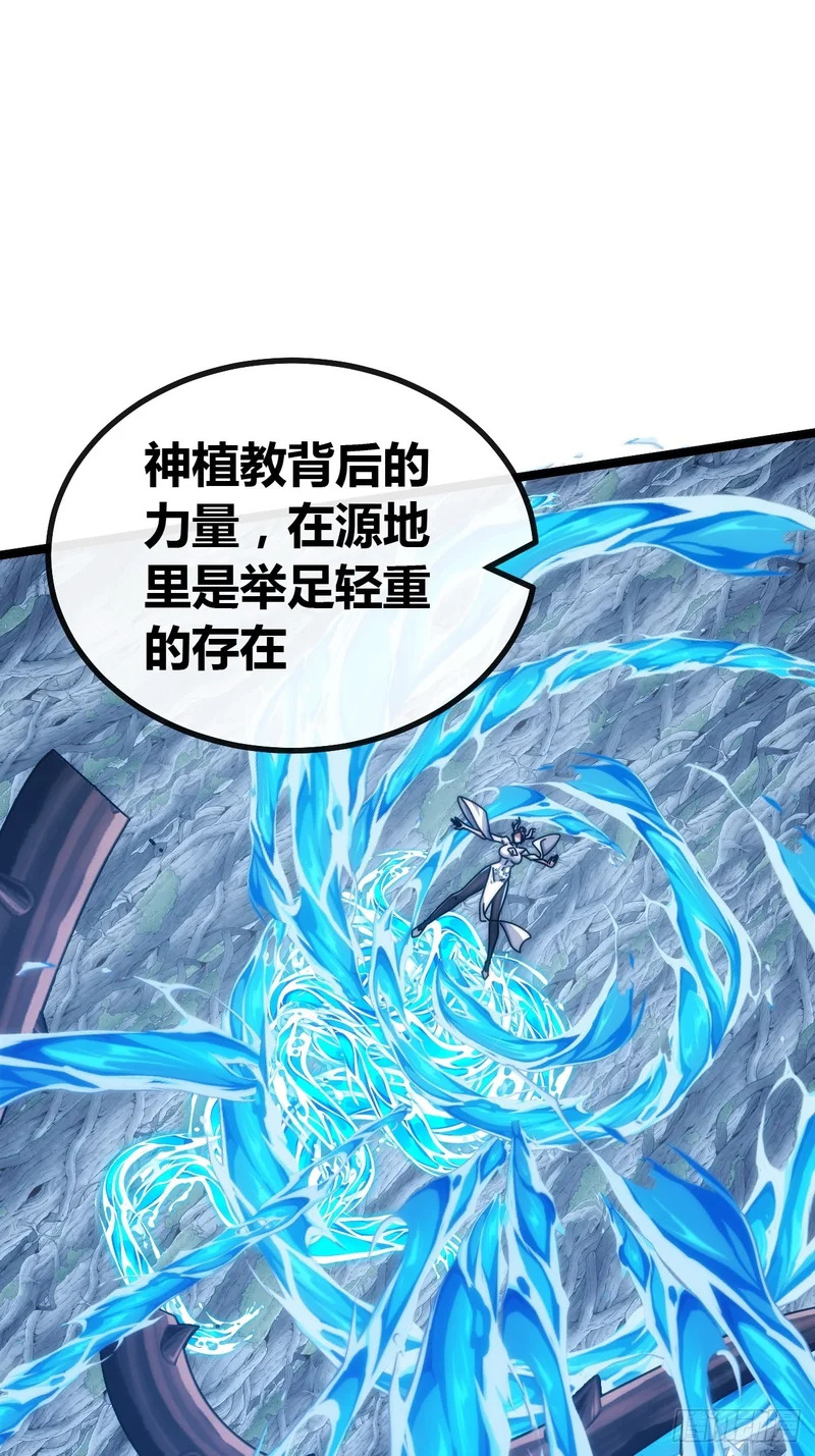 我的主场 第71页